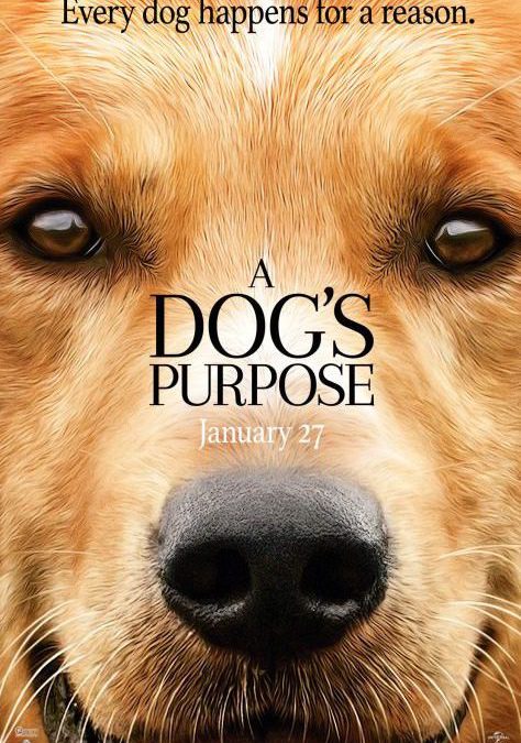 A Dog’s Purpose in theaters now